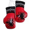 FIGHT-FIT - Mini Boxhandschuhe / Albanien