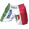 FIGHT-FIT - Muay Thai Shorts / Italien / Stemma / Medium