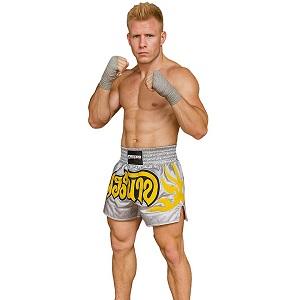 FIGHTERS - Muay Thai Shorts / Silber-Grau / Large